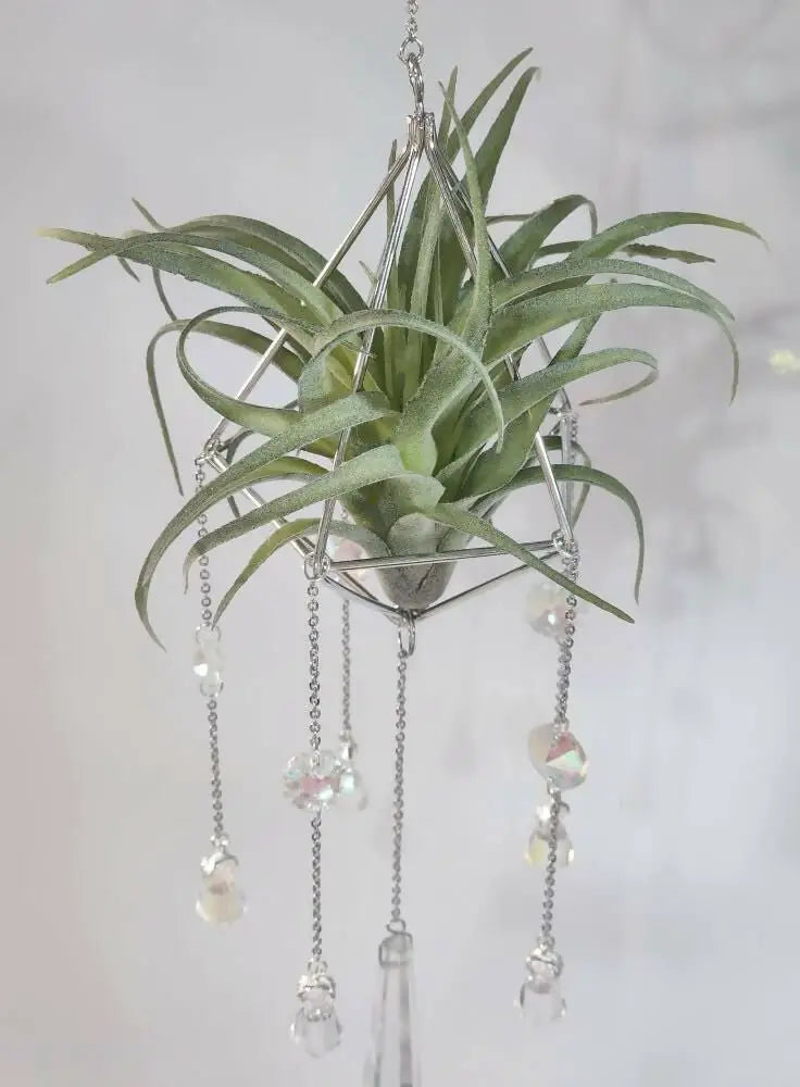 A silver geometric pyramid air plant suncatcher with dangling crystal beads holding a green air plant iridescent ornament