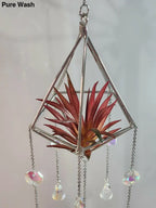 Pyramid Air Plant Suncatcher 2 - Pure Wash Canadian Made - Winnipeg
