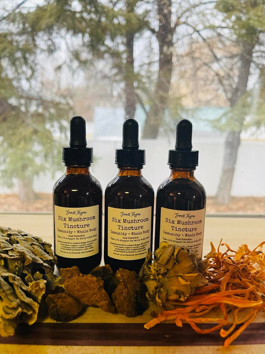 Six Mushroom Tincture 2 oz by forestmama, blending chaga, cordyceps, lions mane, reishi, turkey tail and maitake