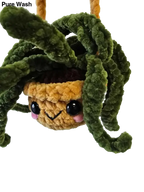 Spider plants - Pure Wash