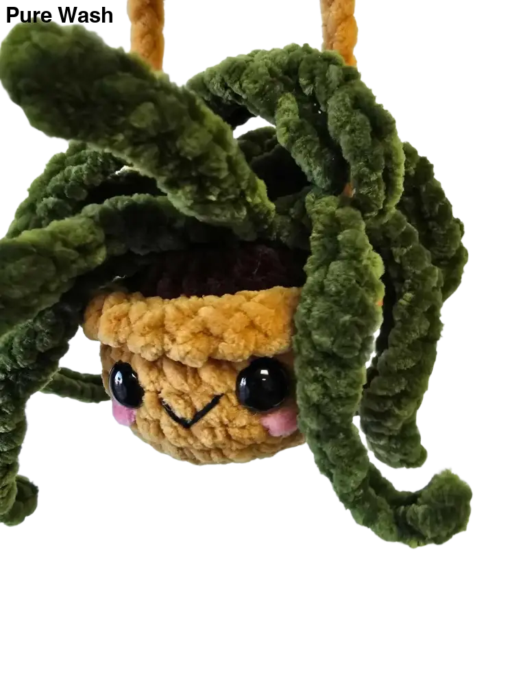 Spider plants - Pure Wash