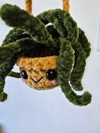 Spider plants - Pure Wash