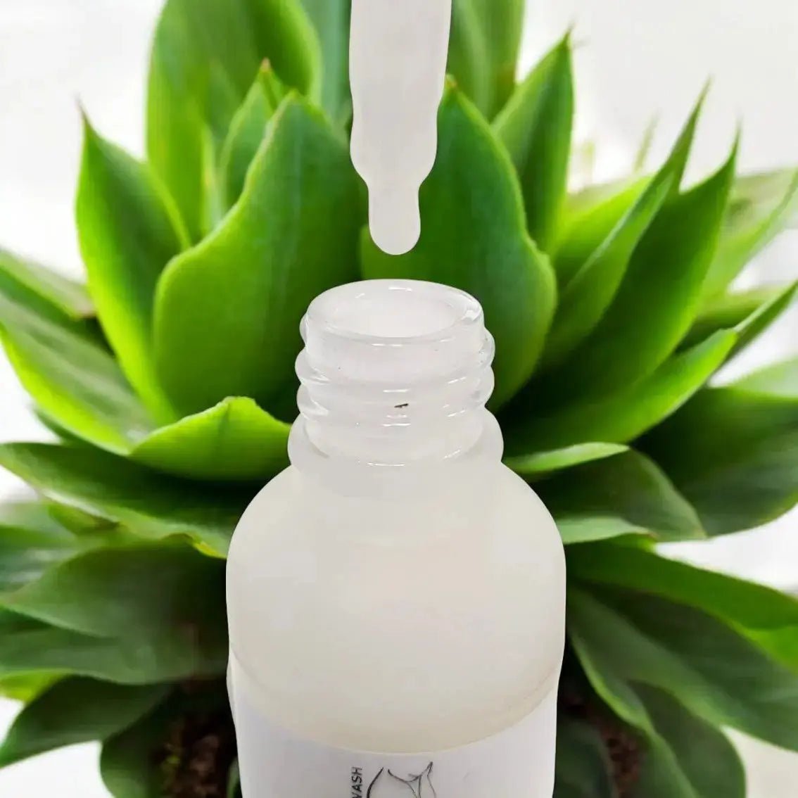 The “It” Line – Complete Skincare Bundle - Pure Wash