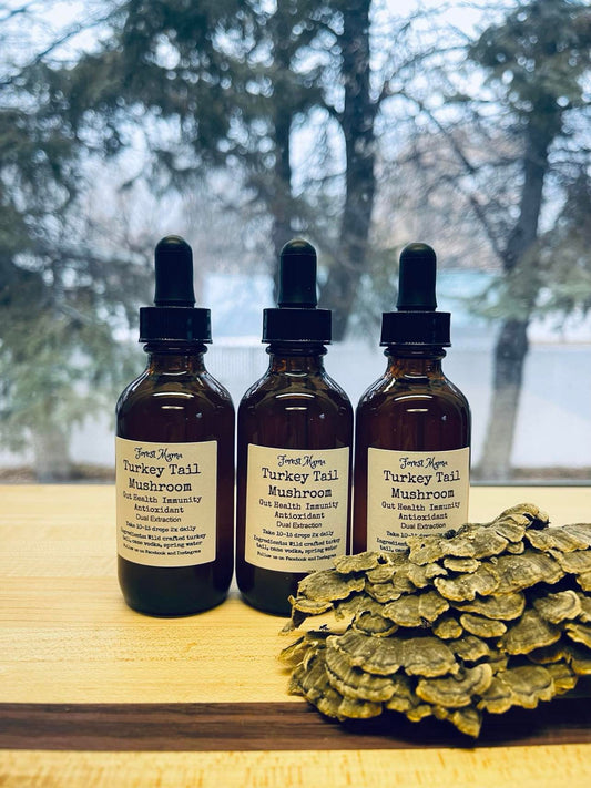 Turkey Tail Tincture 2 oz, a wildcrafted mushroom tincture made in Manitoba by forestmama