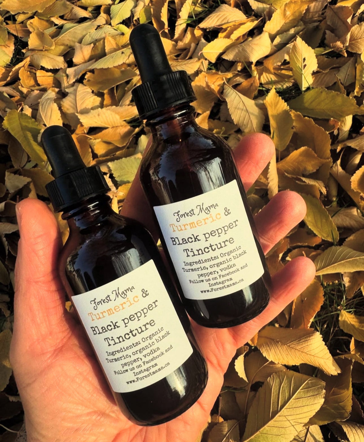 Turmeric and Black Pepper Tincture 2 oz by forestmama, made in Manitoba
