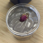 Luxury Whipped Soap Canada – Moisturizing Handmade Body Wash