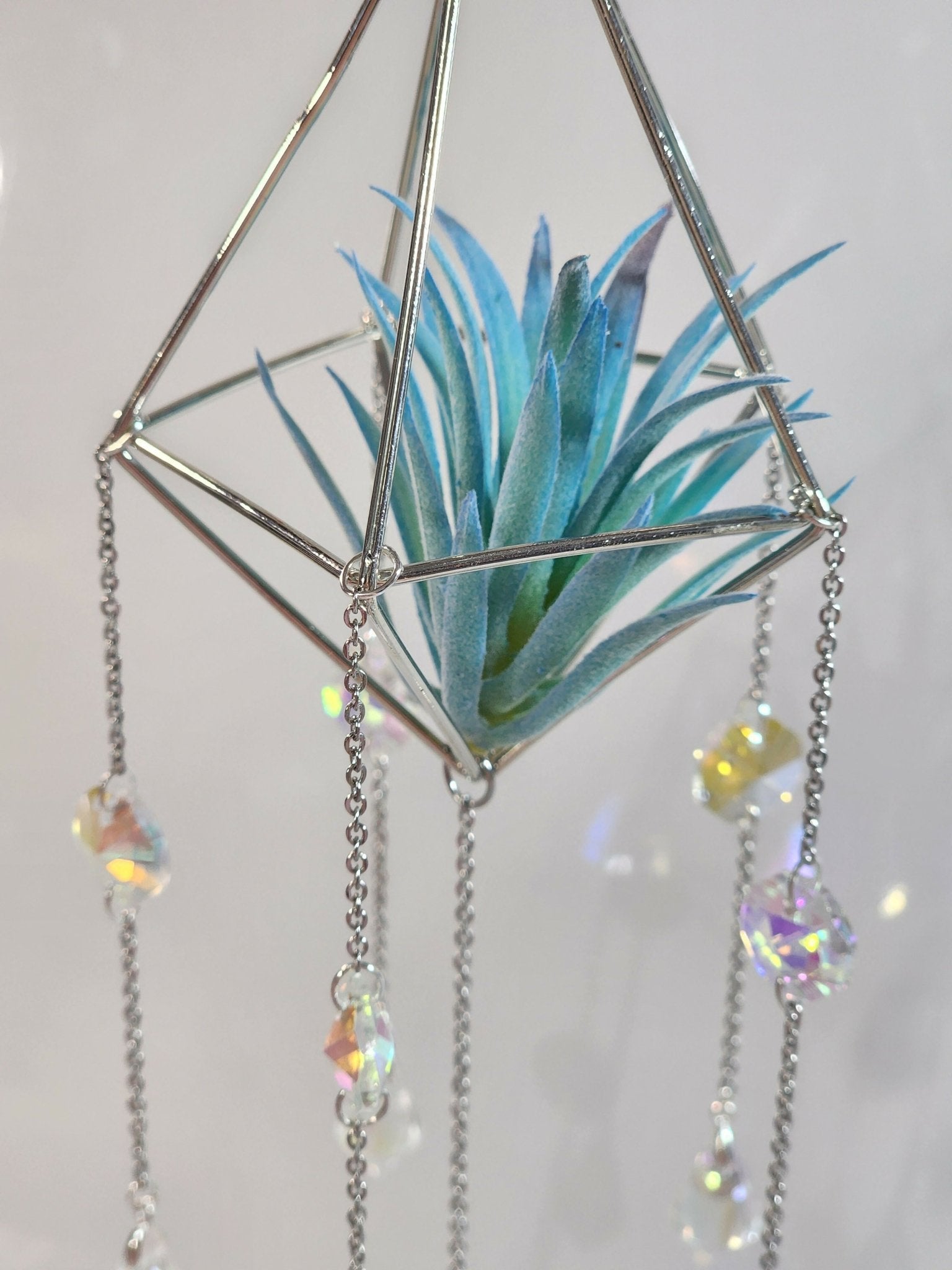 Pyramid Air Plant Suncatcher 3 - Pure Wash Canadian Made - Winnipeg