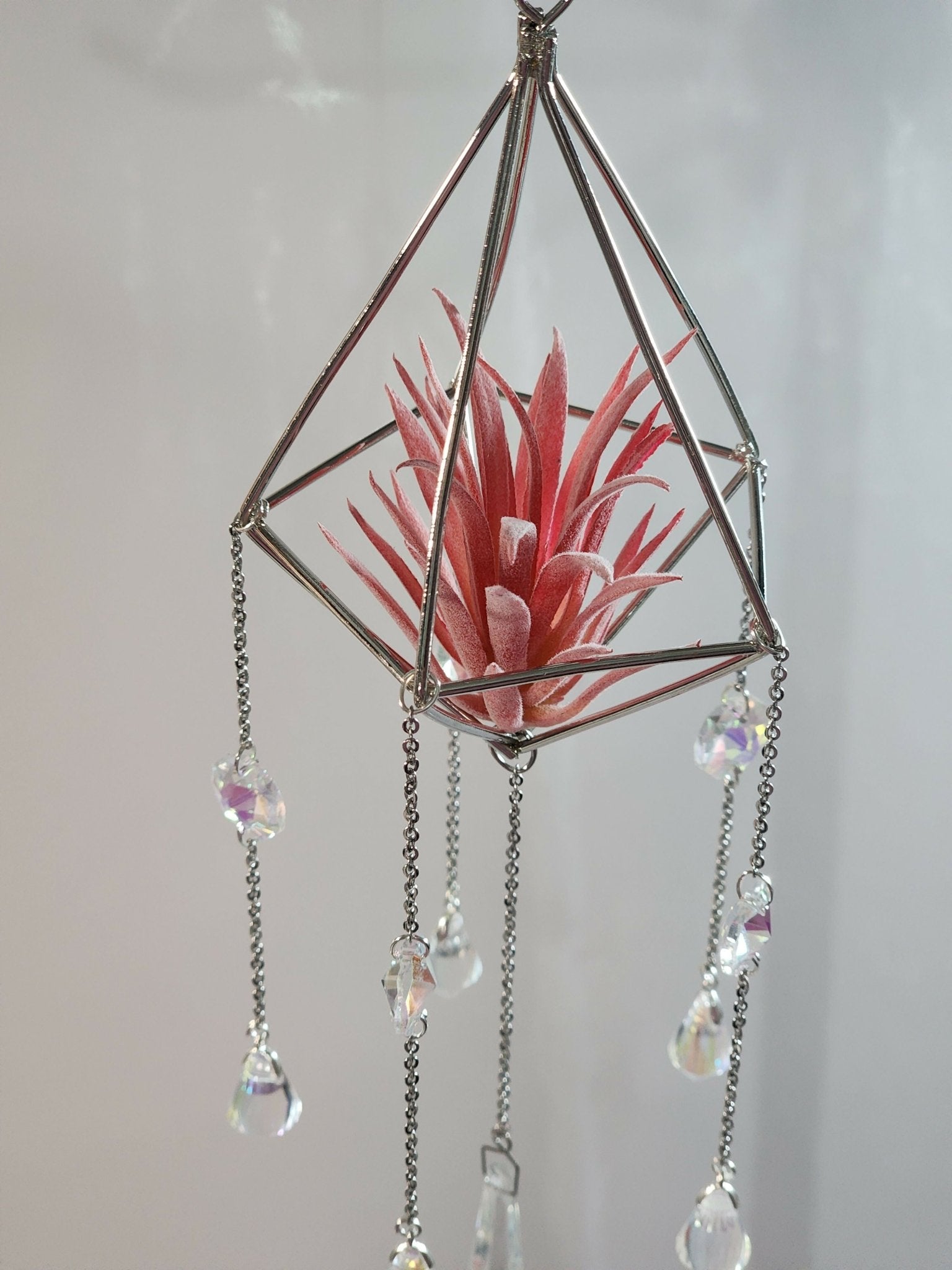 Pyramid Air Plant Suncatcher 4 - Pure Wash Canadian Made - Winnipeg